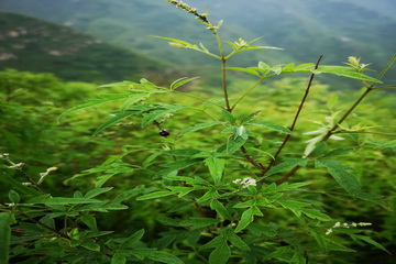 大宝娱乐-LG游戏|PT游戏|CQ9游戏