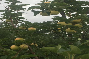 大宝娱乐-LG游戏|PT游戏|CQ9游戏