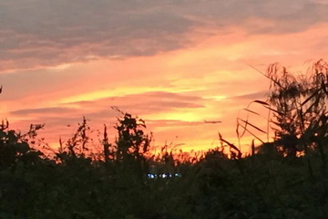 大宝娱乐-LG游戏|PT游戏|CQ9游戏