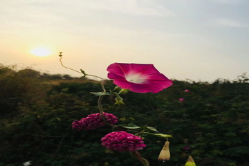 大宝娱乐-LG游戏|PT游戏|CQ9游戏