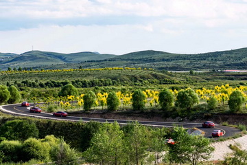 大宝娱乐-LG游戏|PT游戏|CQ9游戏