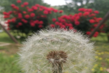 大宝娱乐-LG游戏|PT游戏|CQ9游戏