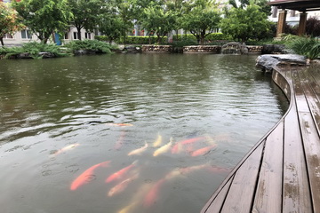 大宝娱乐-LG游戏|PT游戏|CQ9游戏