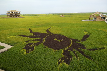 大宝娱乐-LG游戏|PT游戏|CQ9游戏