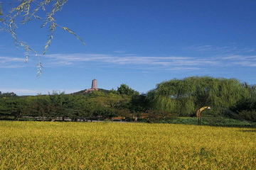 大宝娱乐-LG游戏|PT游戏|CQ9游戏