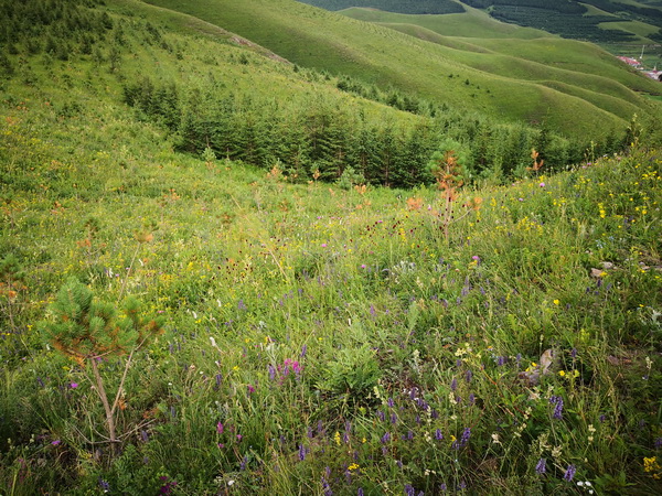 大宝娱乐-LG游戏|PT游戏|CQ9游戏