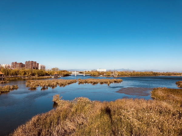 大宝娱乐-LG游戏|PT游戏|CQ9游戏