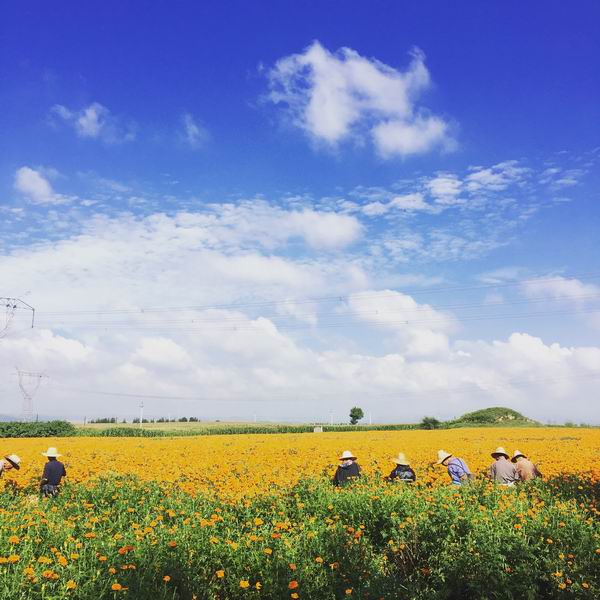 大宝娱乐-LG游戏|PT游戏|CQ9游戏