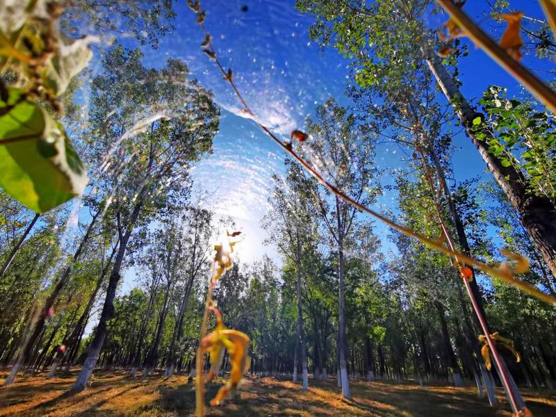 大宝娱乐-LG游戏|PT游戏|CQ9游戏