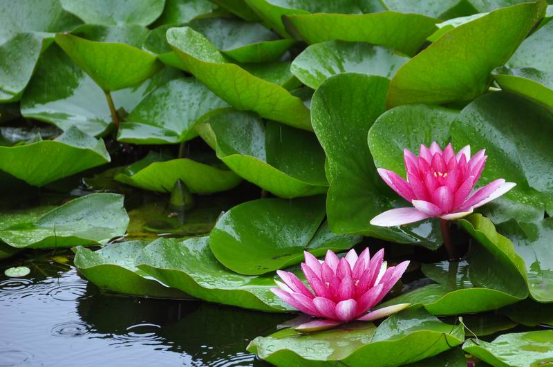 大宝娱乐-LG游戏|PT游戏|CQ9游戏