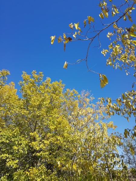 大宝娱乐-LG游戏|PT游戏|CQ9游戏