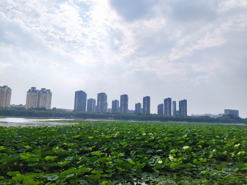 大宝娱乐-LG游戏|PT游戏|CQ9游戏