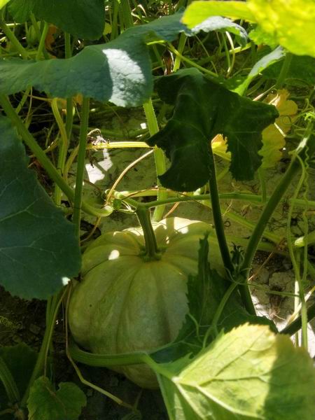 大宝娱乐-LG游戏|PT游戏|CQ9游戏