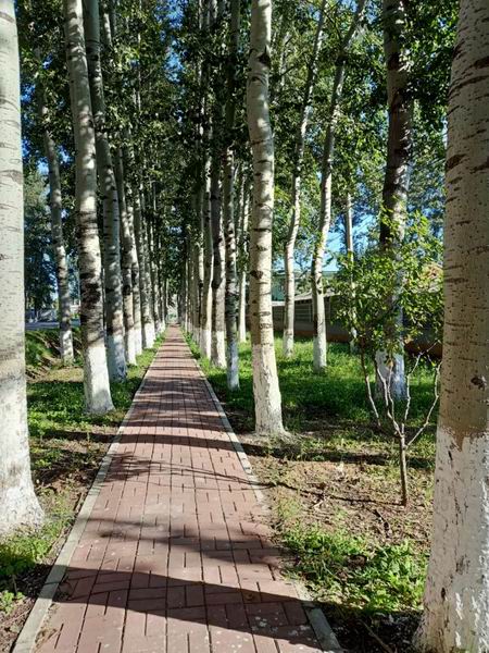 大宝娱乐-LG游戏|PT游戏|CQ9游戏