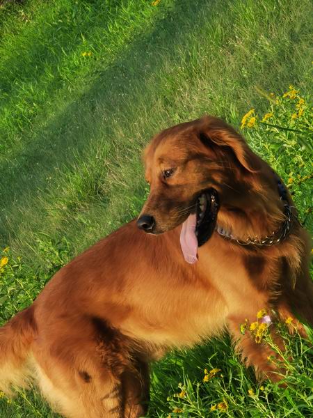 大宝娱乐-LG游戏|PT游戏|CQ9游戏