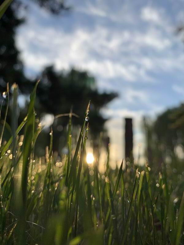 大宝娱乐-LG游戏|PT游戏|CQ9游戏