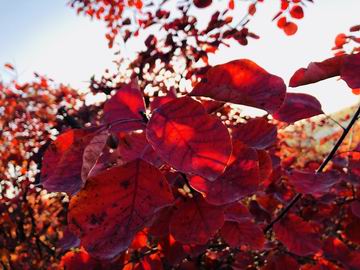 大宝娱乐-LG游戏|PT游戏|CQ9游戏