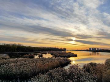 大宝娱乐-LG游戏|PT游戏|CQ9游戏