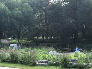 大宝娱乐-LG游戏|PT游戏|CQ9游戏