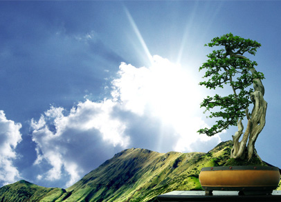 大宝娱乐-LG游戏|PT游戏|CQ9游戏