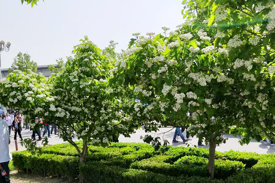 大宝娱乐-LG游戏|PT游戏|CQ9游戏