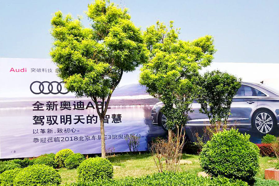 大宝娱乐-LG游戏|PT游戏|CQ9游戏