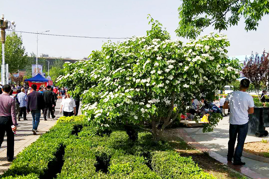 大宝娱乐-LG游戏|PT游戏|CQ9游戏