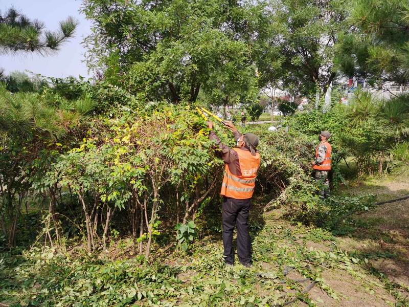 大宝娱乐-LG游戏|PT游戏|CQ9游戏