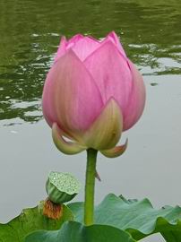 大宝娱乐-LG游戏|PT游戏|CQ9游戏