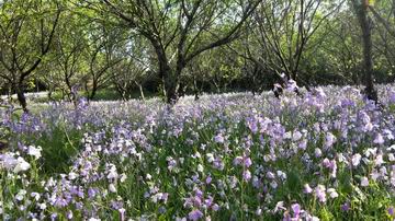 大宝娱乐-LG游戏|PT游戏|CQ9游戏