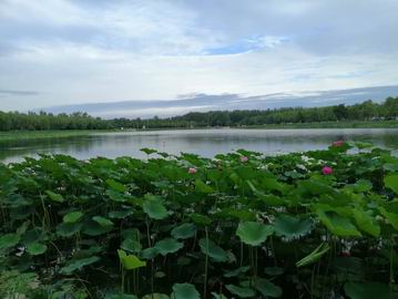 大宝娱乐-LG游戏|PT游戏|CQ9游戏