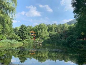 大宝娱乐-LG游戏|PT游戏|CQ9游戏