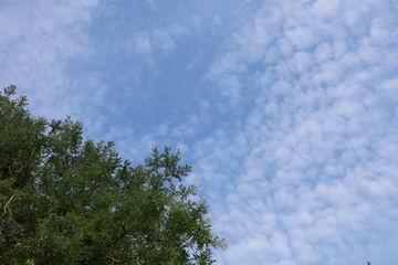 大宝娱乐-LG游戏|PT游戏|CQ9游戏