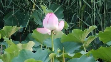 大宝娱乐-LG游戏|PT游戏|CQ9游戏