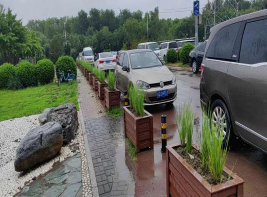 大宝娱乐-LG游戏|PT游戏|CQ9游戏